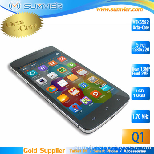 GSM/WCDMA Dual SIM Cards Dual Standby GPS Track Phone (Q1)